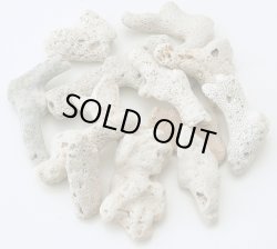 画像1: サンゴ砂　（XL）