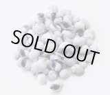 画像: セブビューティ