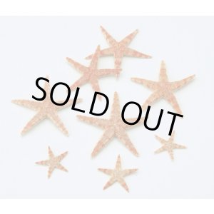 画像: スターフィッシュ