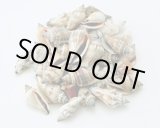 画像: ウルカス