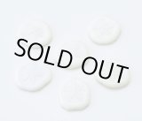 画像: サンドラー