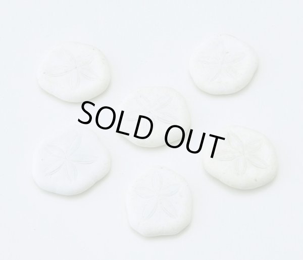 画像1: サンドラー