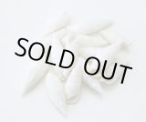 画像: ドリップシェル