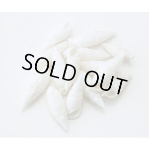 画像: ドリップシェル