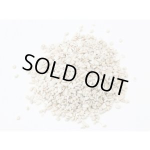 画像: サンゴ砂　（M）