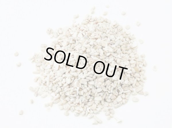 画像1: サンゴ砂　（M）