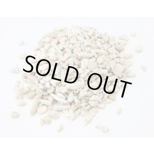 画像: サンゴ砂　（L）