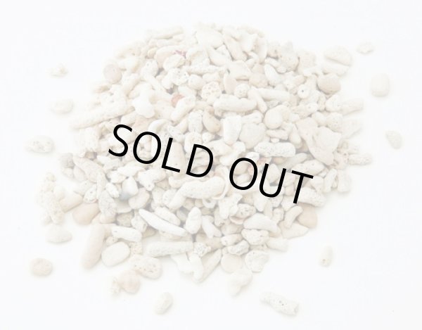 画像1: サンゴ砂　（L）