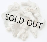 画像: サンゴ砂　（XL）