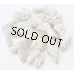 画像: サンゴ砂　（XL）