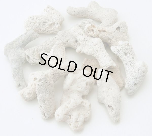 画像1: サンゴ砂　（XL）