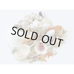 画像: シェルミックス