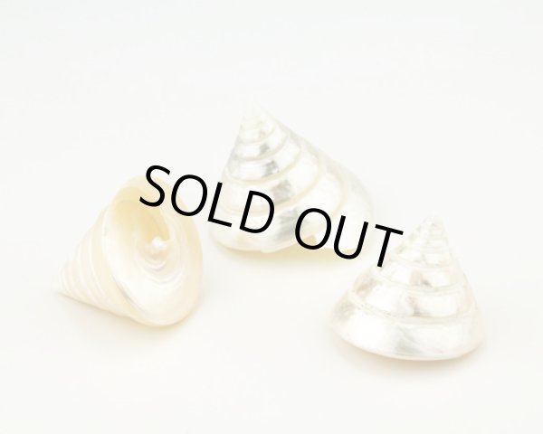 画像1: トルカ（磨き加工）