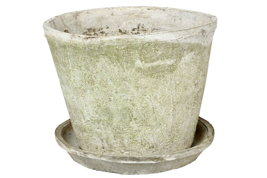 画像: アンティークホワイトカクタスポット25cm