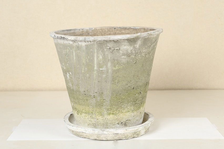 画像1: アンティークホワイトソーサー26cm 6set　sale